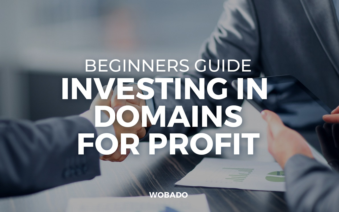 Beginners Guide to Investing in Domains for Profit